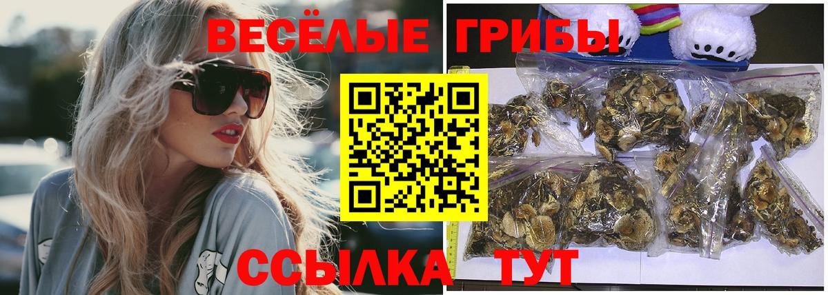 Галлюциногенные грибы Psilocybine cubensis  Вход с VPN  Надым  Галлюциногенные грибы мухоморы 