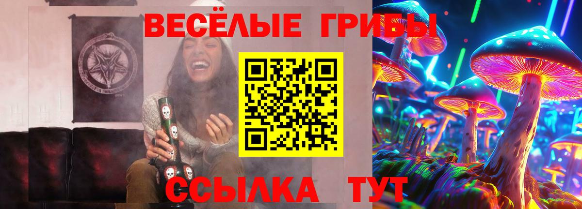 Галлюциногенные грибы Psilocybe Надым